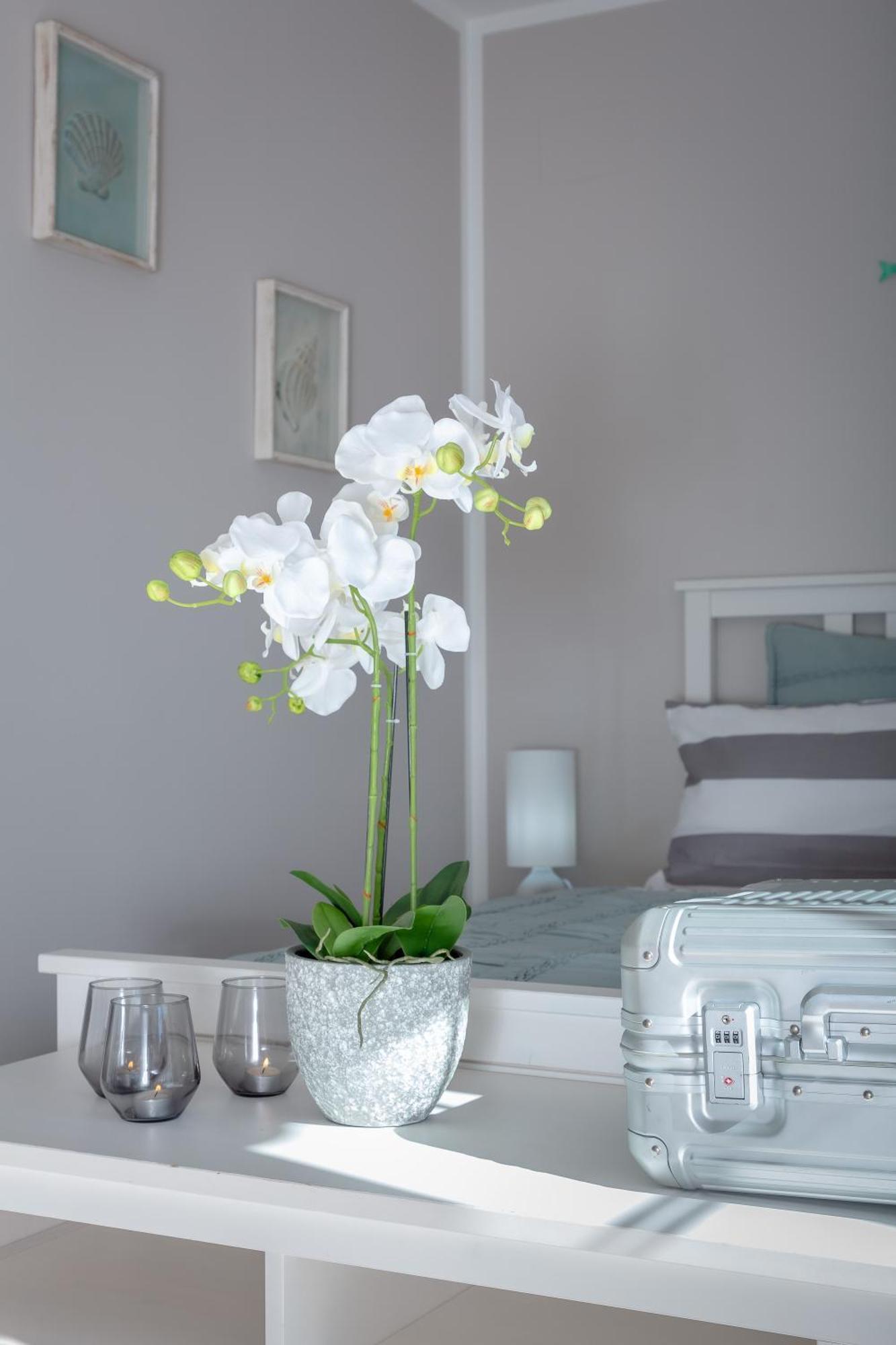 Villa Palmera PMI Buitenkant foto