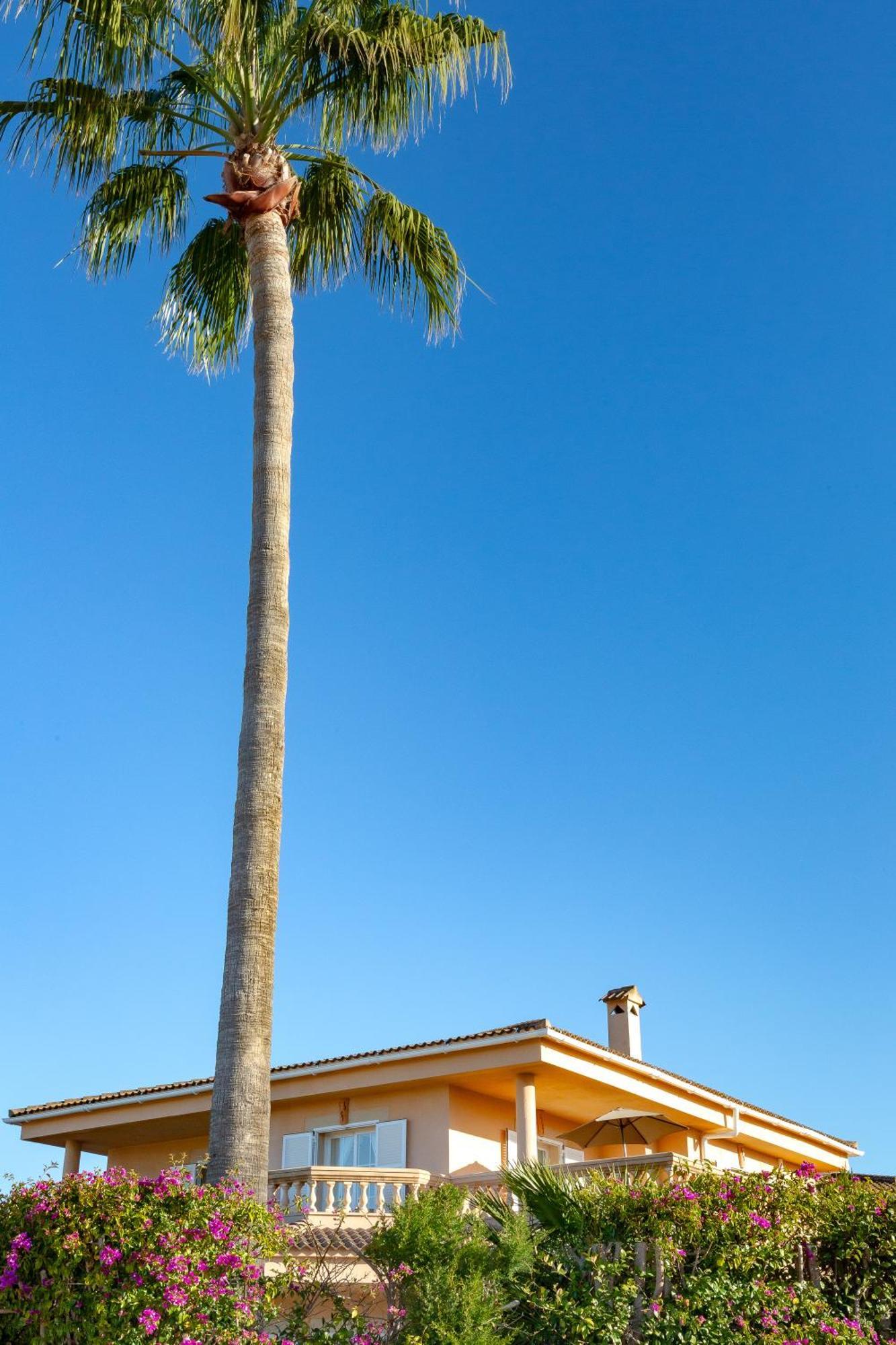Villa Palmera PMI Buitenkant foto